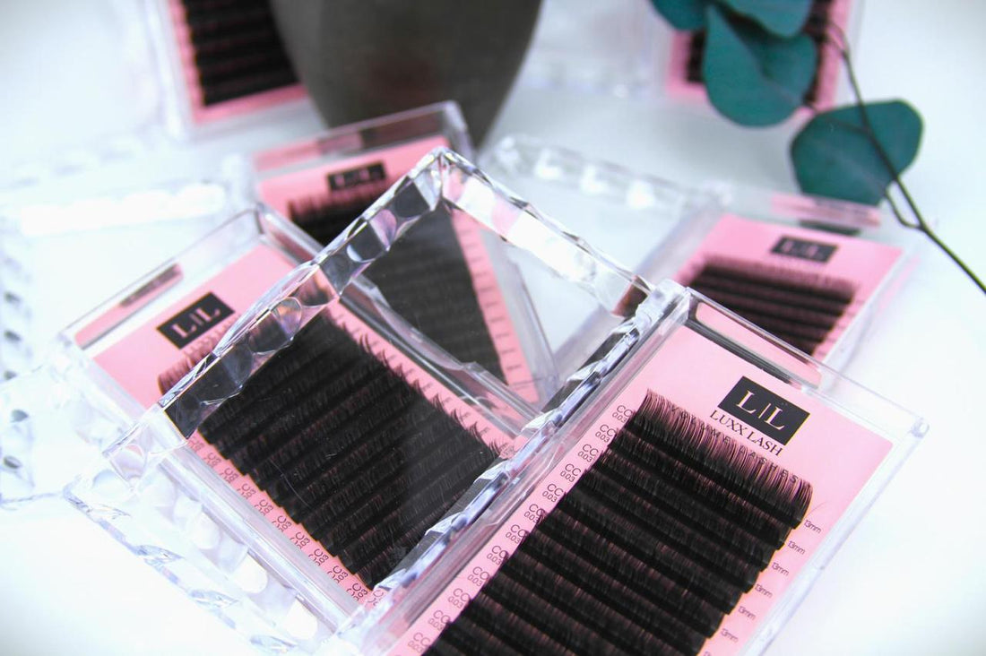 Everything You Need to Know About Lash Extension Products, Lash Types & Big Eyelashes