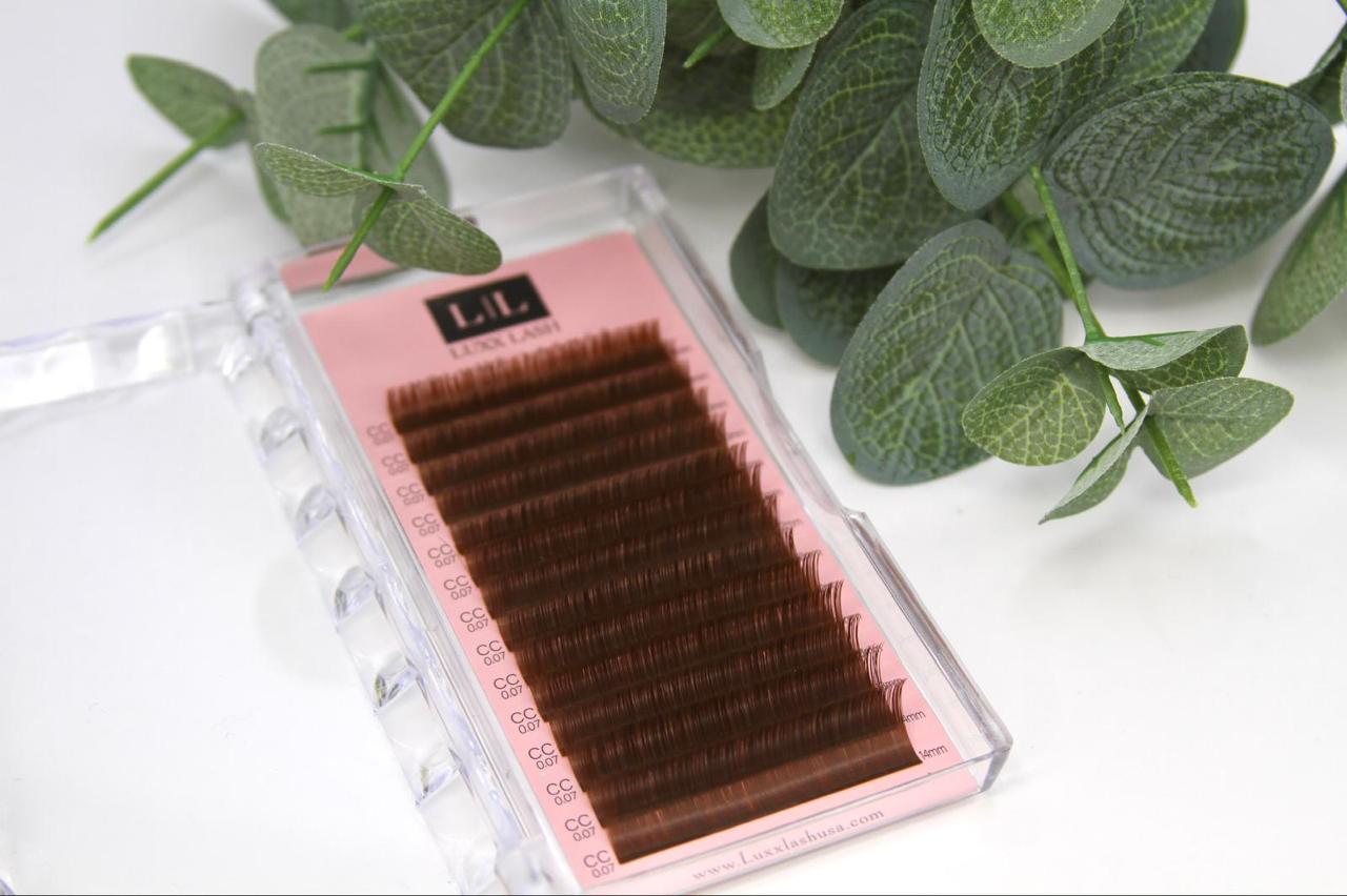 Professional Lash Tools & Supplies: Explore Lash Fans, Tweezers, and Extension Boxes at Luxx Lash USA