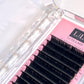 Classic Lashes